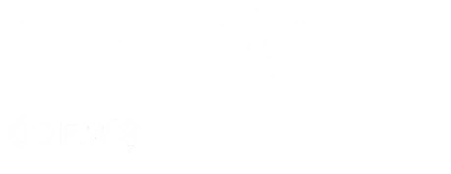 theme-sticky-logo-alt