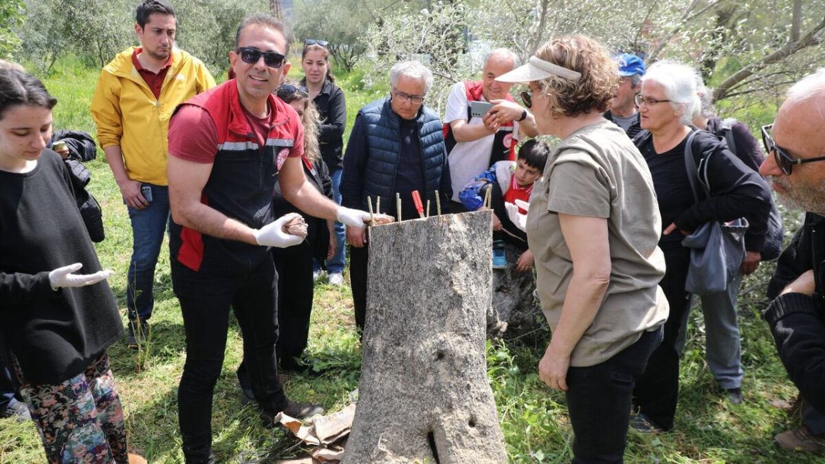 Seferihisar Belediyesi ve İlçe Tarım’dan Müdürlüğü’nden uygulamalı eğitim