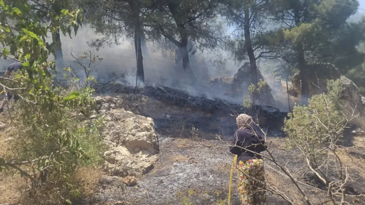 Kahramanmaraş’ta orman yangını: Havadan ve karadan müdahale ediliyor Kahramanmaraş’ta orman yangını: Havadan ve karadan müdahale ediliyor