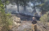 Kahramanmaraş’ta orman yangını: Havadan ve karadan müdahale ediliyor Kahramanmaraş’ta orman yangını: Havadan ve karadan müdahale ediliyor
